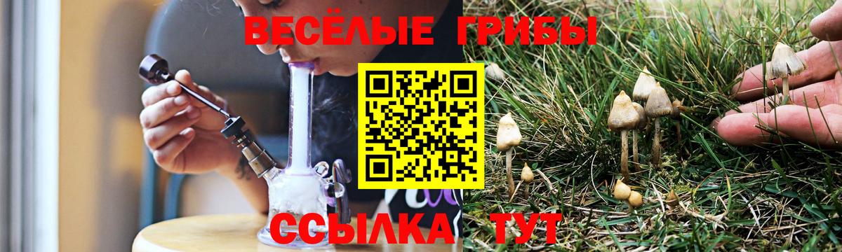 Псилоцибиновые грибы Psilocybe  Псилоцибиновые грибы Magic Shrooms  Вход с VPN  Большой Камень 